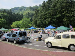 img0095.jpg