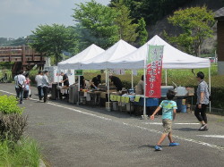 img0105.jpg