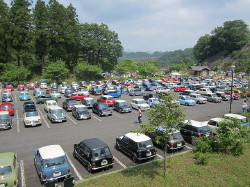 img0113.jpg