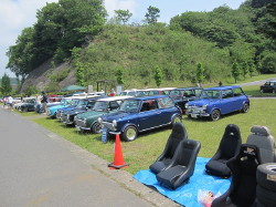 img0131.jpg