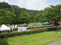 img0140.jpg
